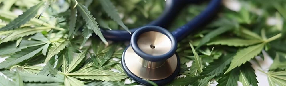 Medical Marijuanas Card PA