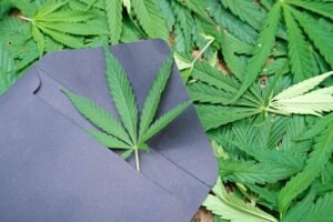 Medical Marijuanas Card Illinois