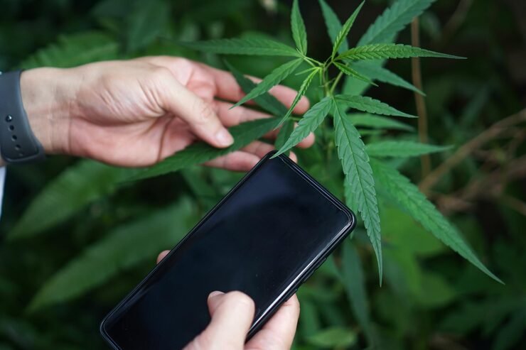 midsection person holding mobile phone outdoors 1048944 19528251 West Virginia Medical Marijuana Card